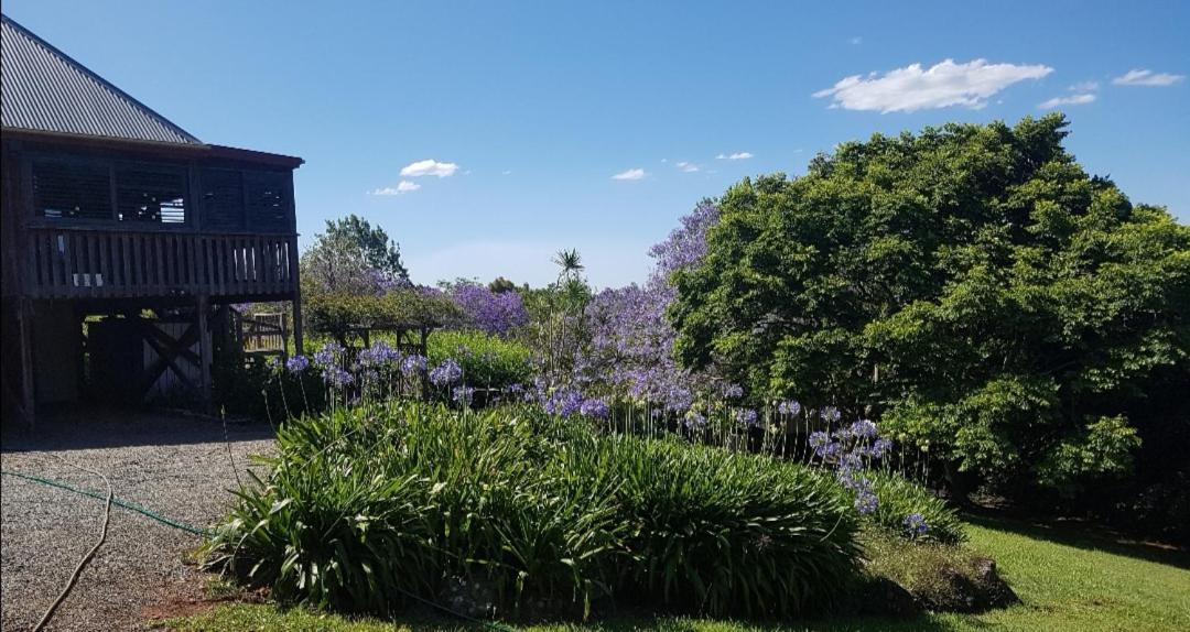 Wyndover Mountain Retreat Beechmont Esterno foto