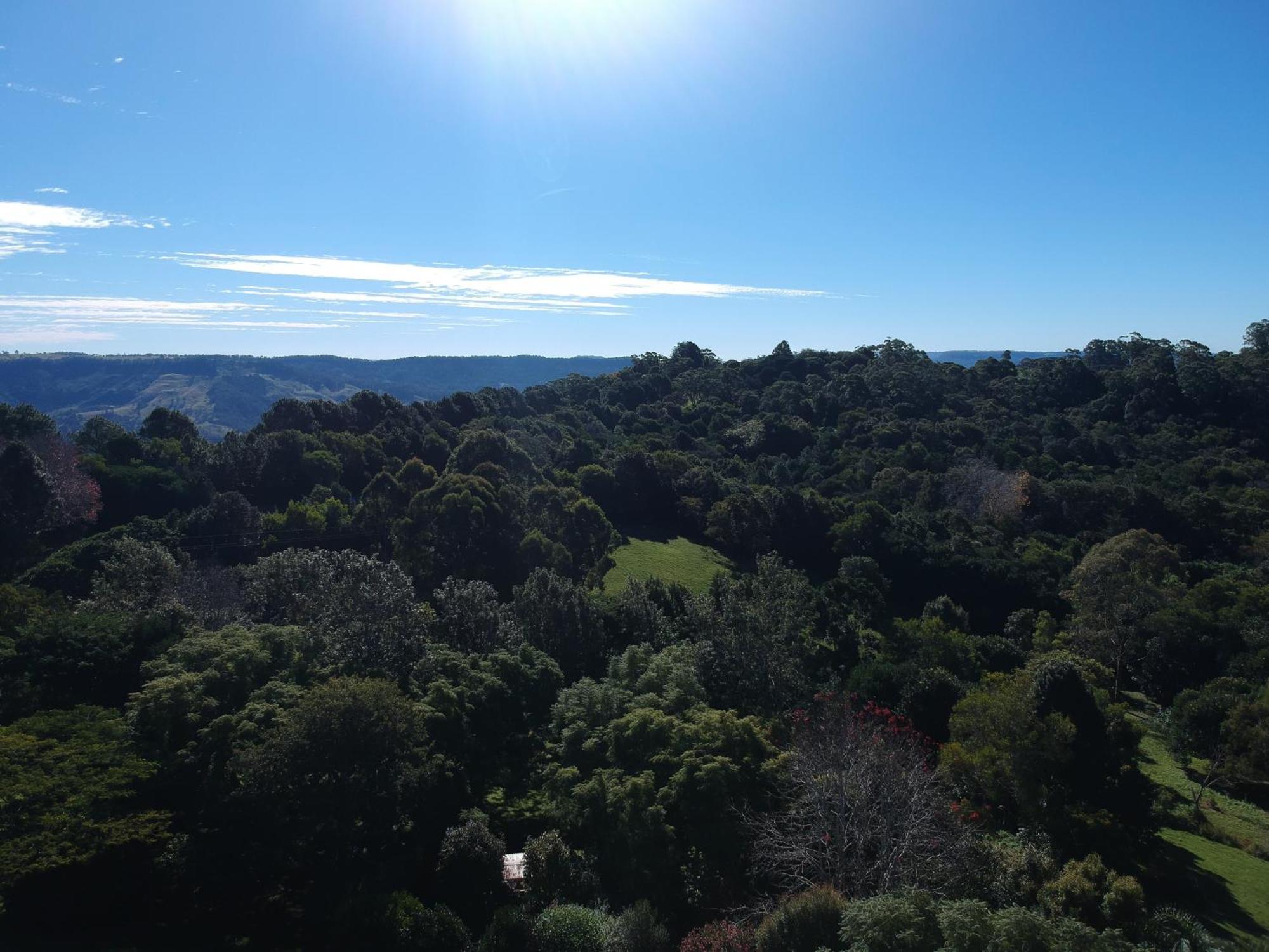 Wyndover Mountain Retreat Beechmont Esterno foto