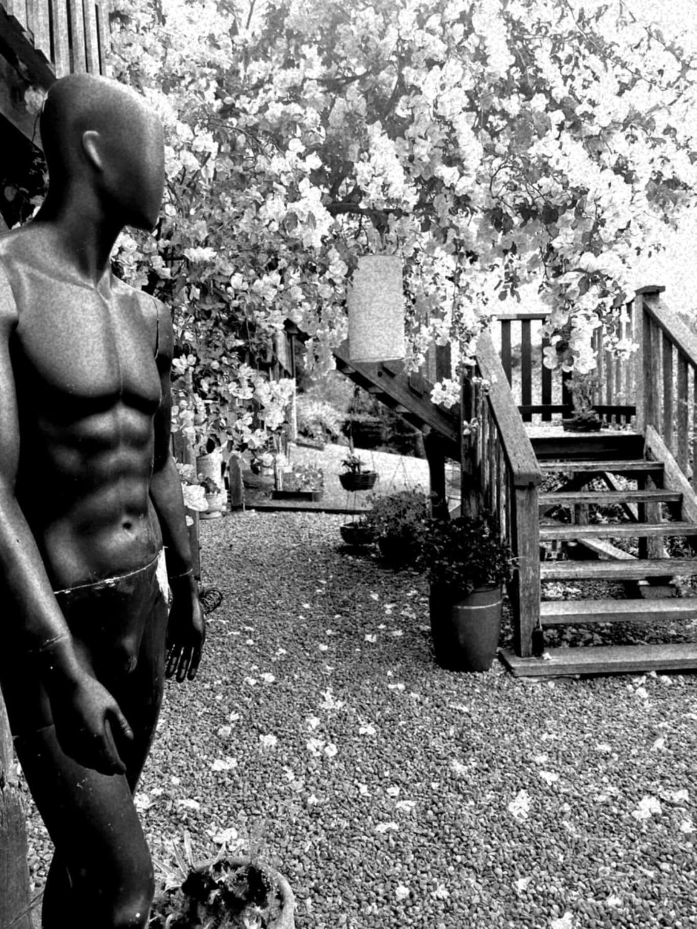 Wyndover Mountain Retreat Beechmont Esterno foto
