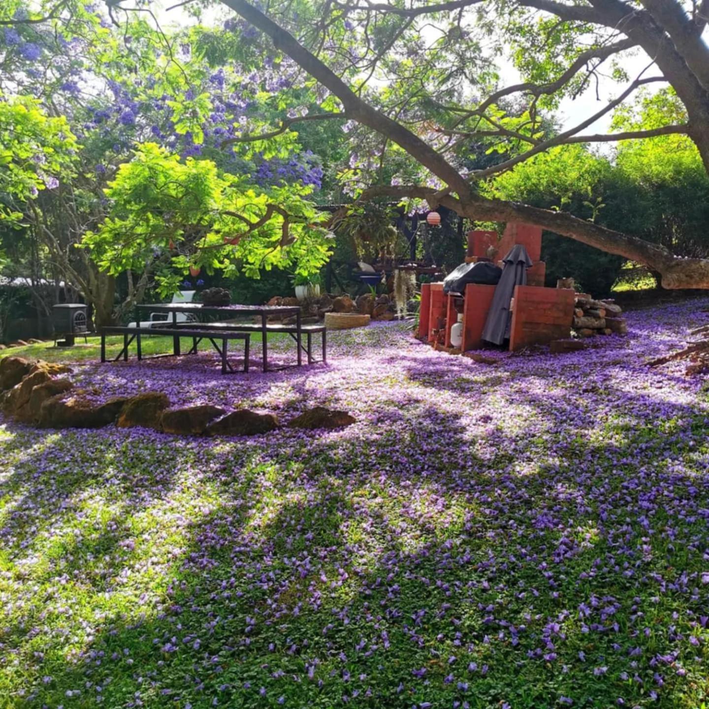 Wyndover Mountain Retreat Beechmont Esterno foto
