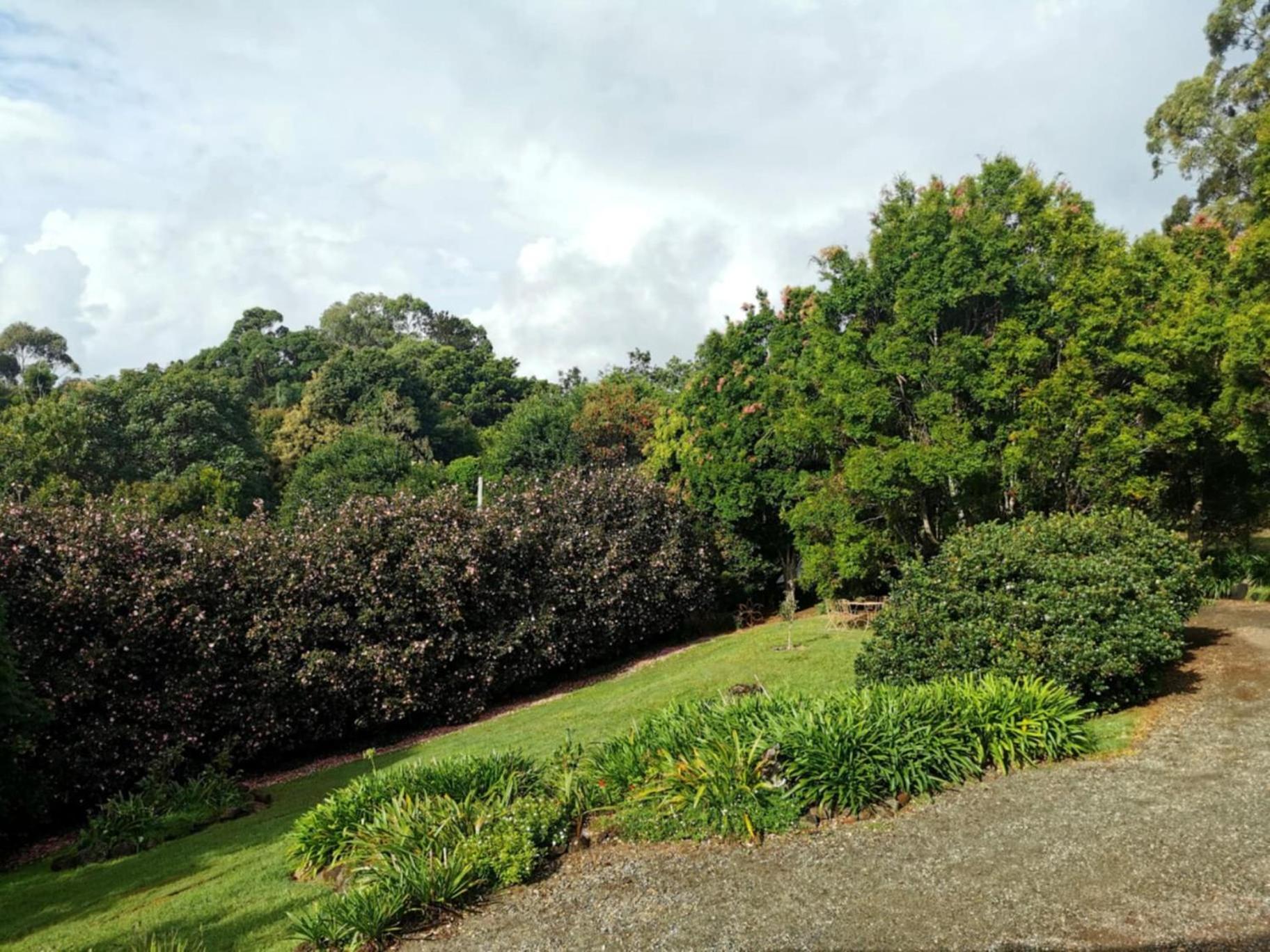 Wyndover Mountain Retreat Beechmont Esterno foto
