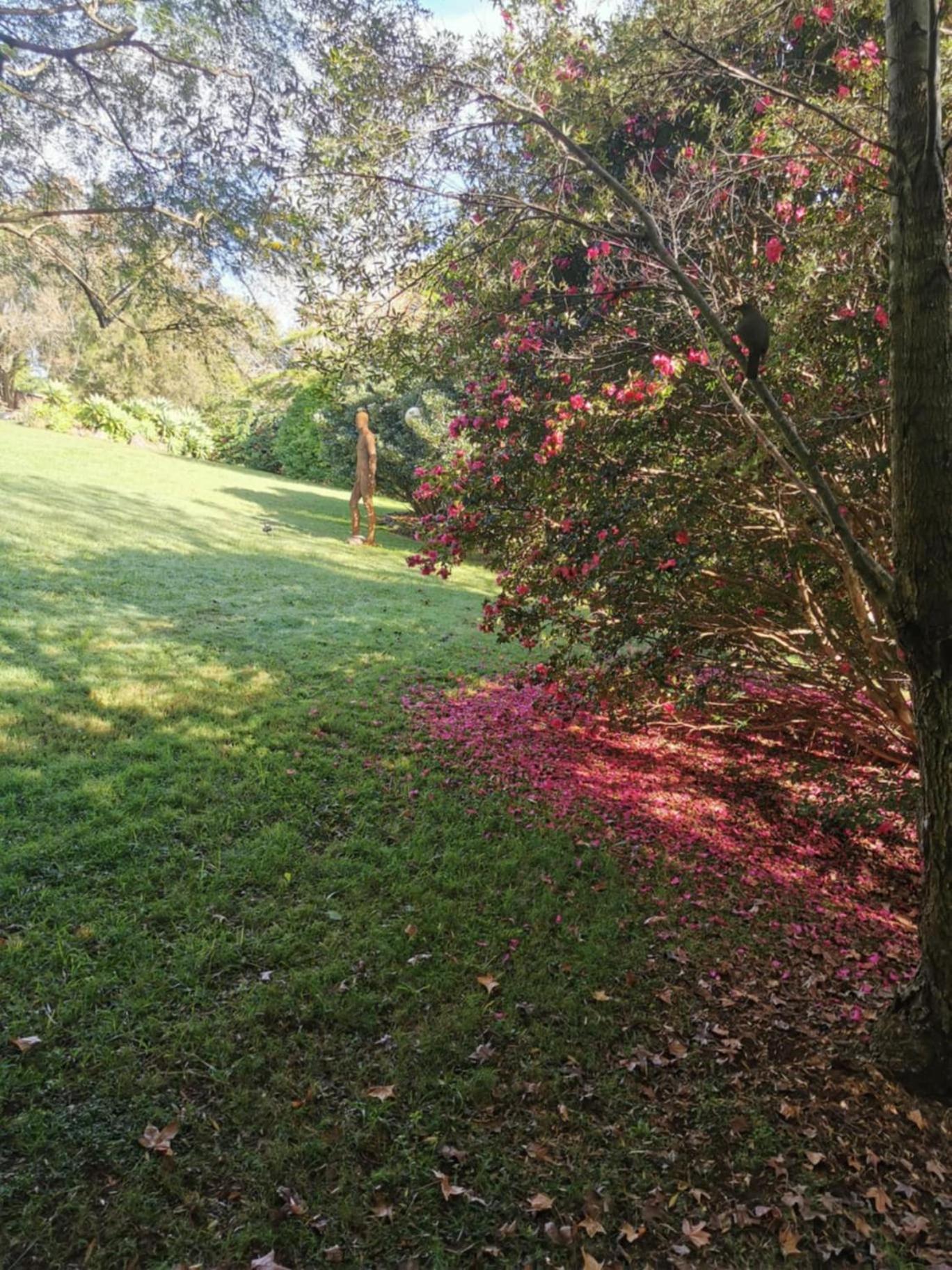 Wyndover Mountain Retreat Beechmont Esterno foto