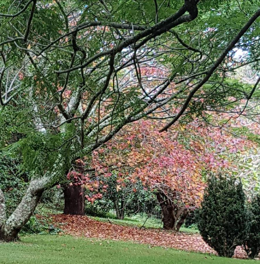 Wyndover Mountain Retreat Beechmont Esterno foto